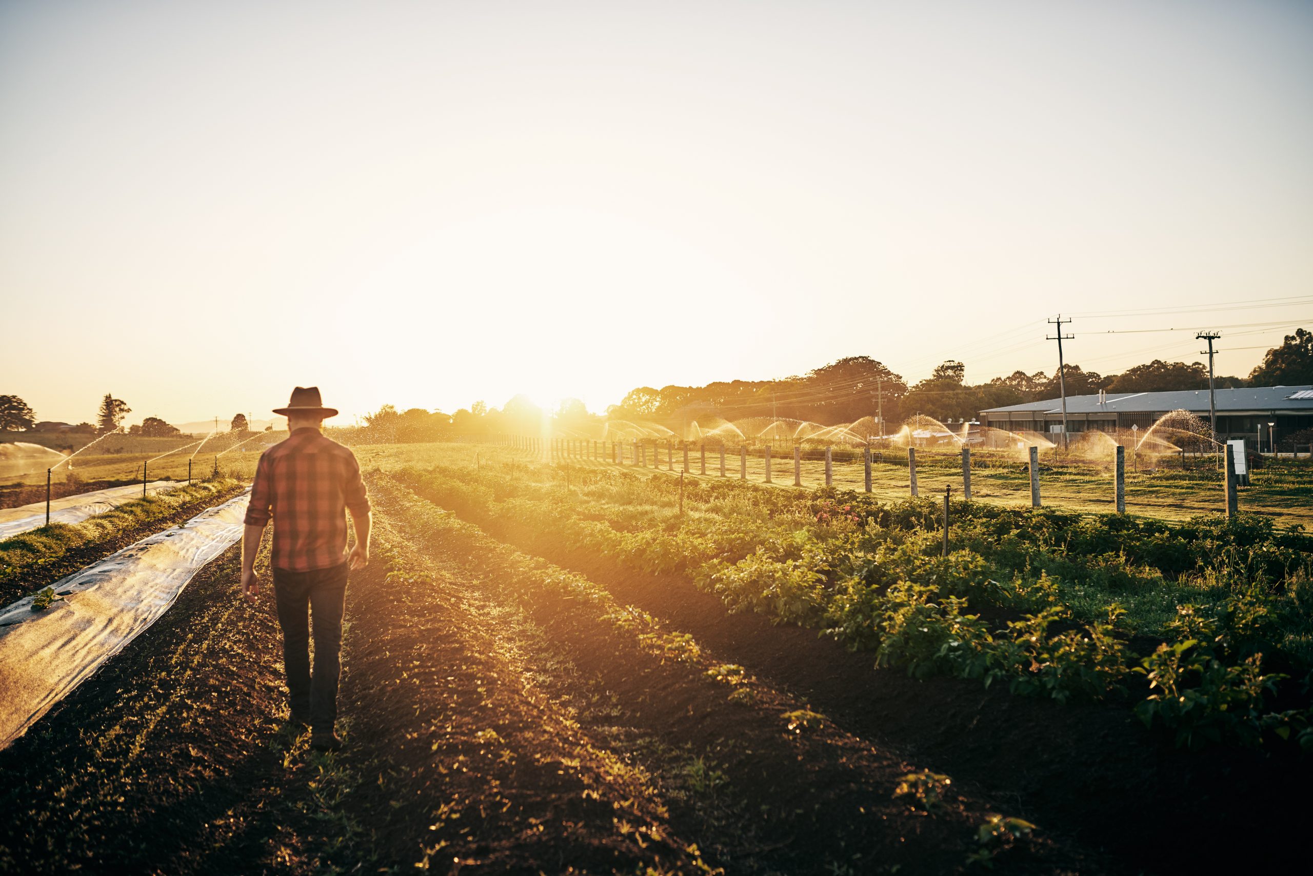 Supporting Sustainable Agriculture: A Conversation with Virginia Clarke