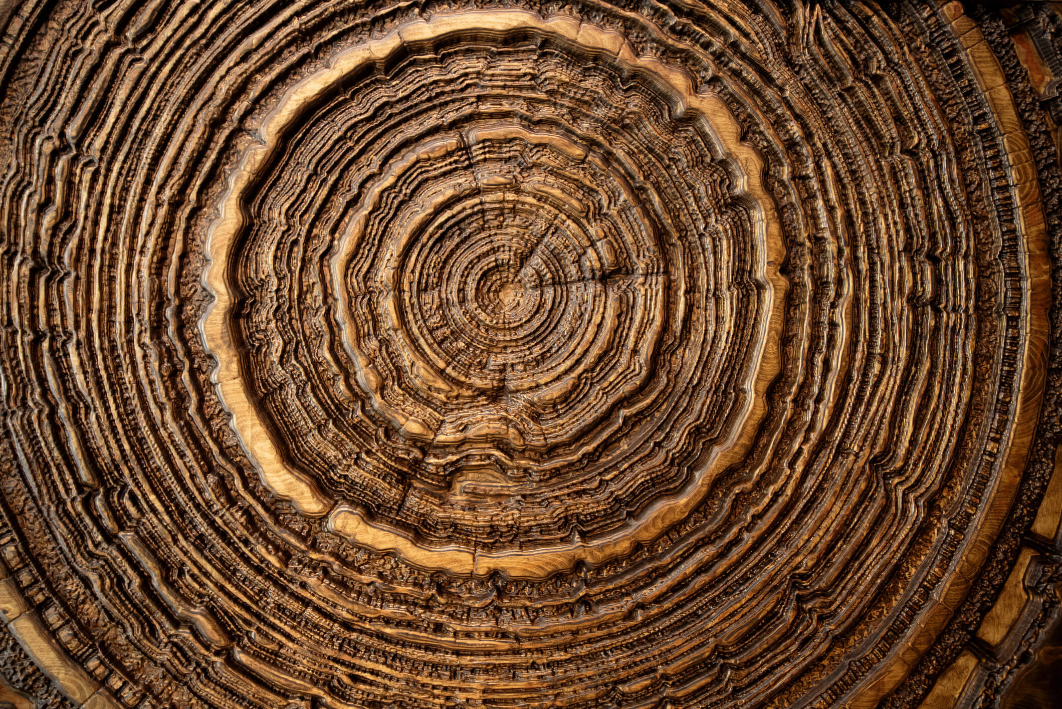 Rings-of-Tree-iStock-2155481439.jpg